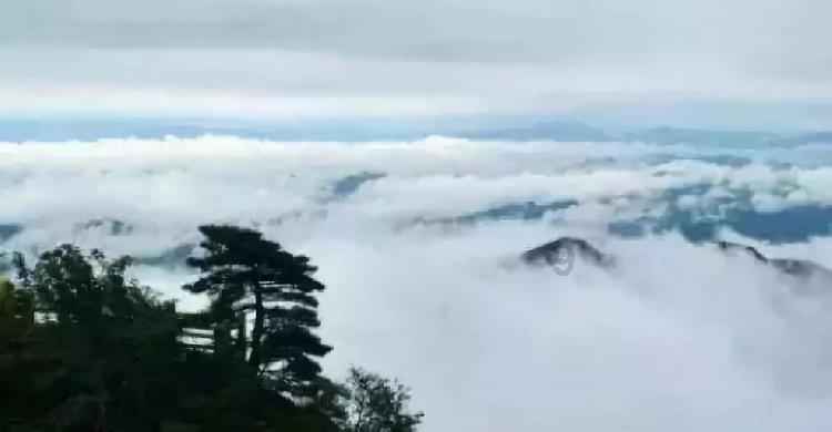 冬季向海乐活节丨天津方特“哏儿都闹新春”即将开启春节新玩法 扫码阅读手机版